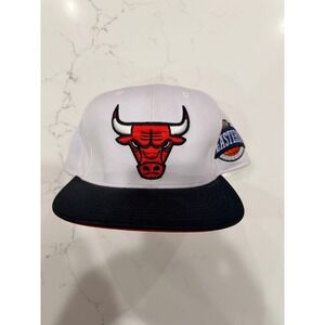 Mitchell & Ness Chicago Bulls Fitted Hat Cap Size 7 3/8 NBA Eastern Conference